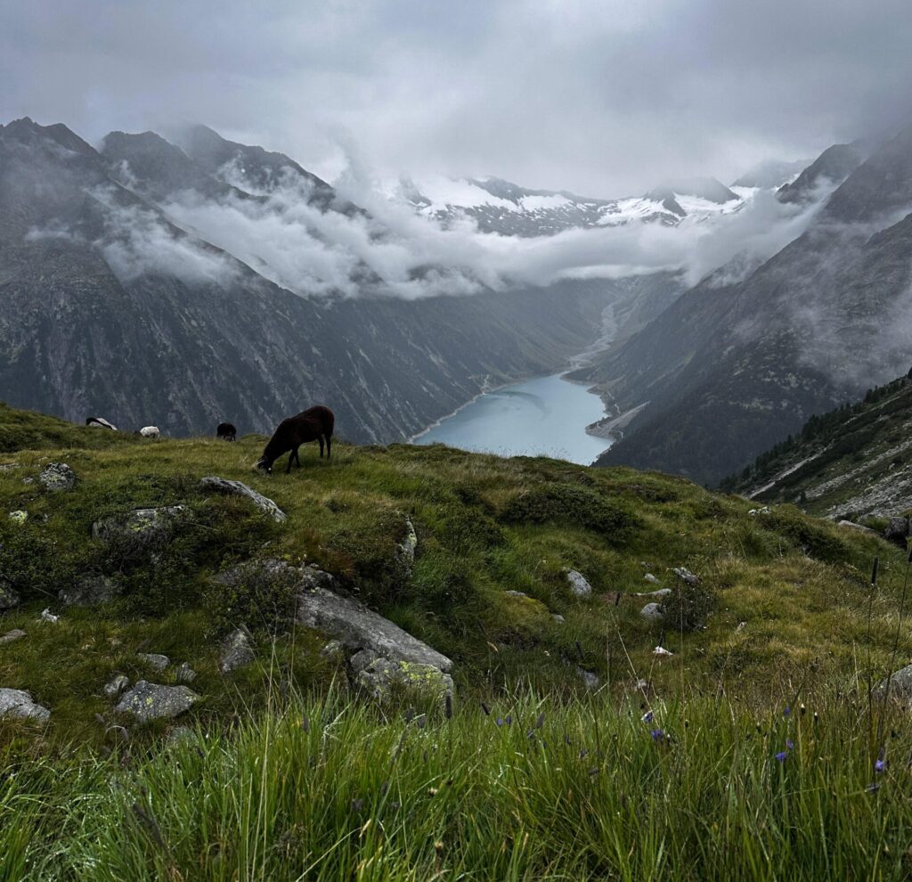 Heilpraktikerin für Psychotherapie - Caroline Maier
